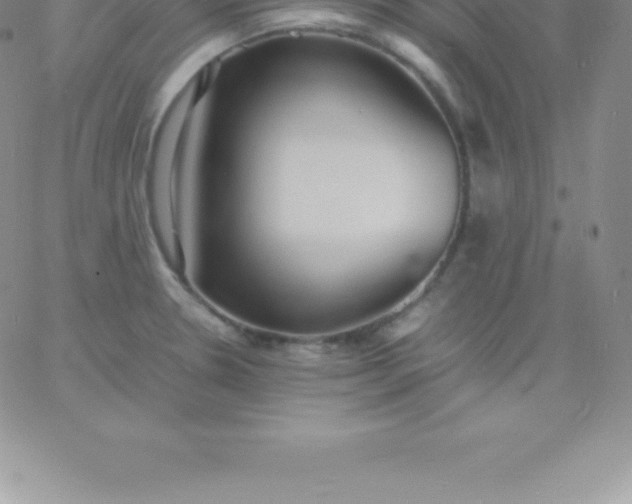 X0000060751330200511241653