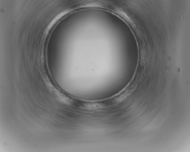 X0000060751331200511241653