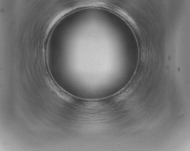 X0000060751332200511241653