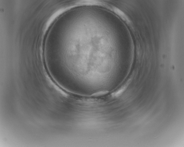 X0000060751334200511241653