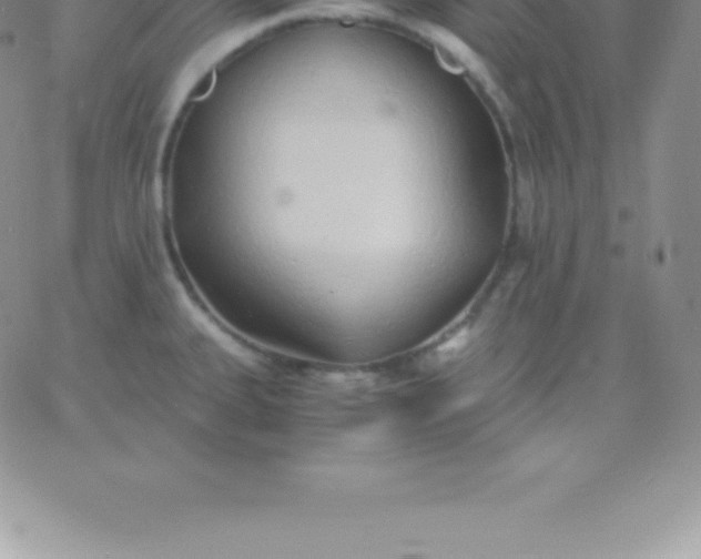 X0000060751335200511241653