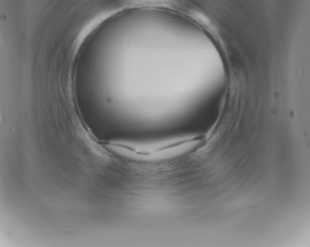 X0000060751336200511241653