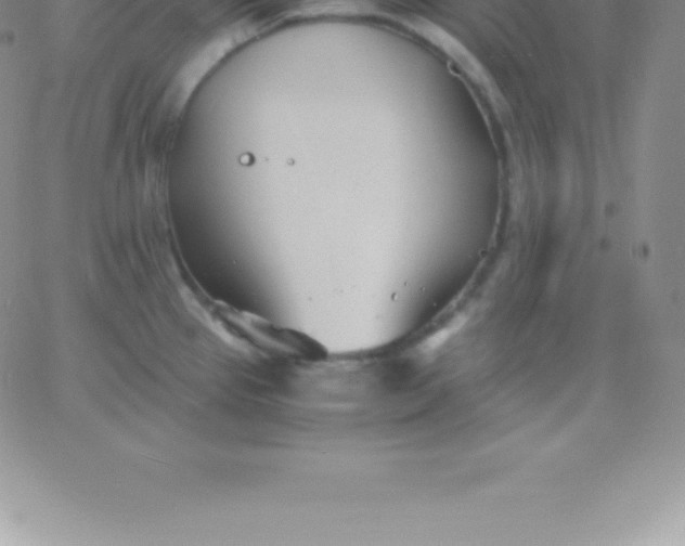 X0000060751337200511241653