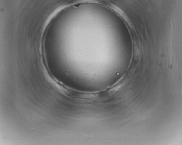 X0000060751339200511241653