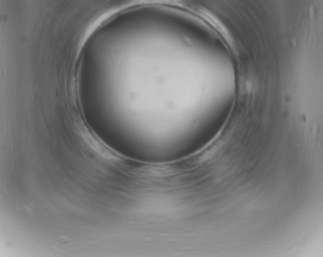 X0000060751340200511241653