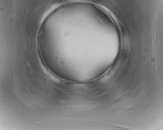 X0000060751341200511241653