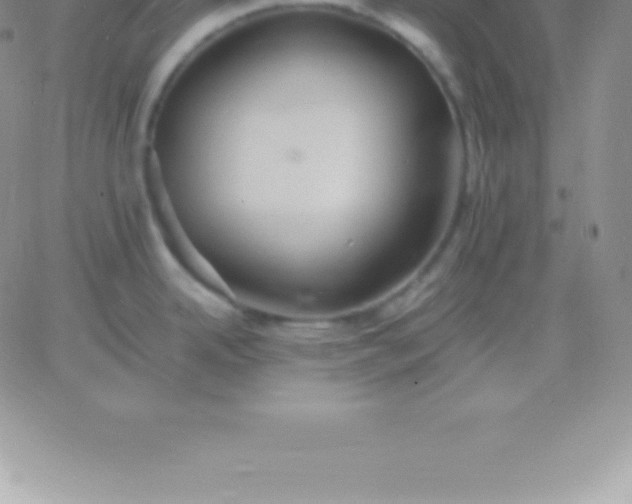 X0000060751342200511241654