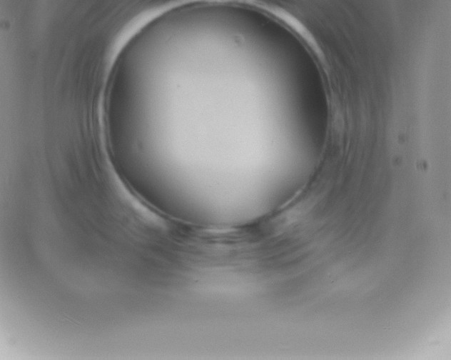 X0000060751343200511241654