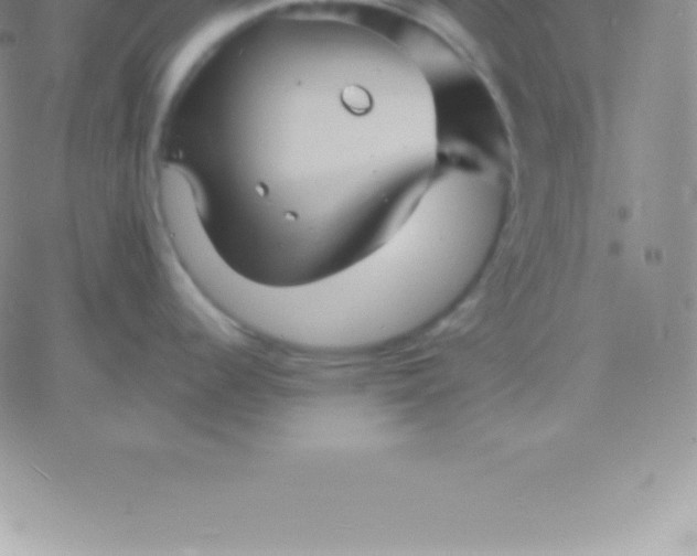 X0000060751344200511241654