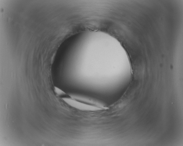 X0000060751345200511241653