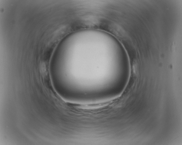 X0000060751347200511241653