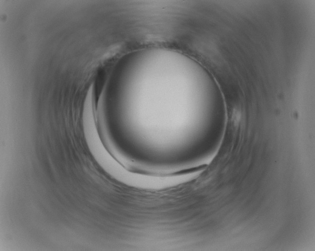 X0000060751348200511241653