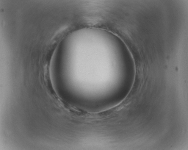 X0000060751349200511241653