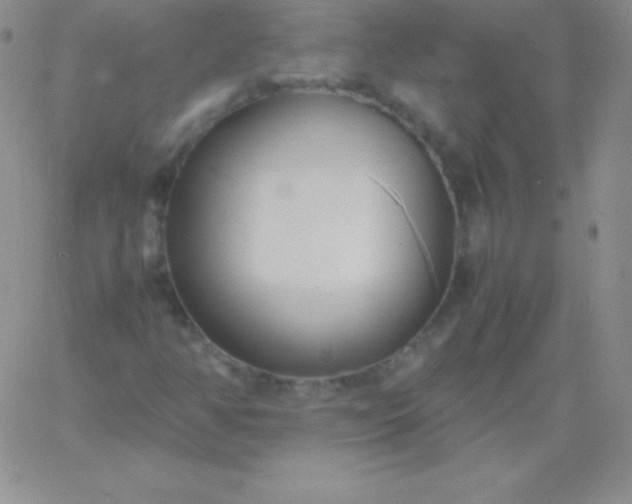 X0000060751350200511241653