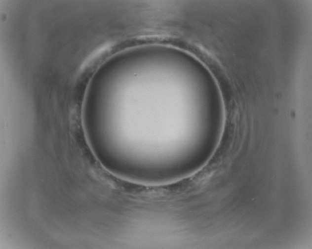 X0000060751351200511241653