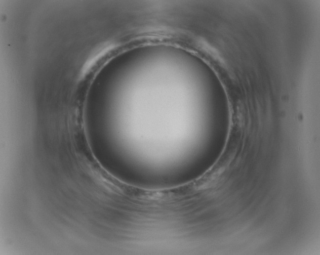 X0000060751352200511241653