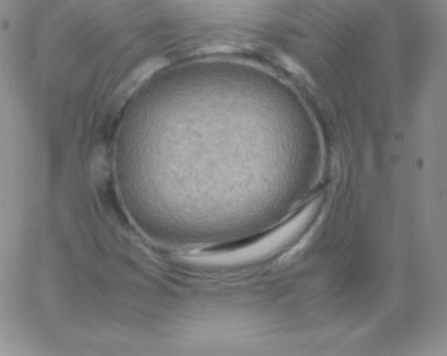 X0000060751353200511241653