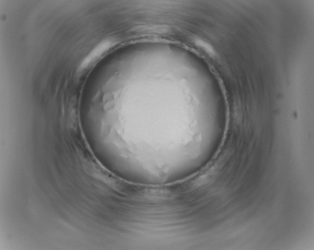 X0000060751354200511241653