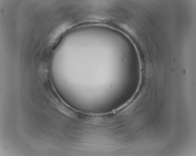 X0000060751355200511241653