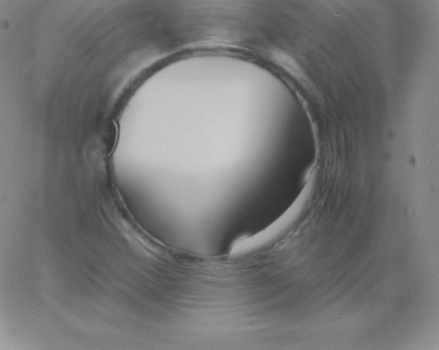 X0000060751356200511241653