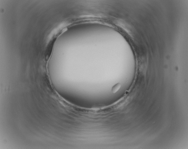 X0000060751357200511241653