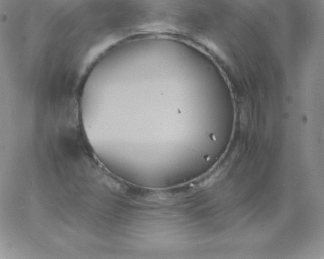 X0000060751358200511241653