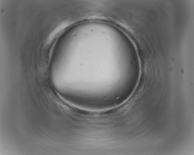 X0000060751359200511241653