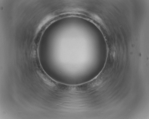 X0000060751360200511241653