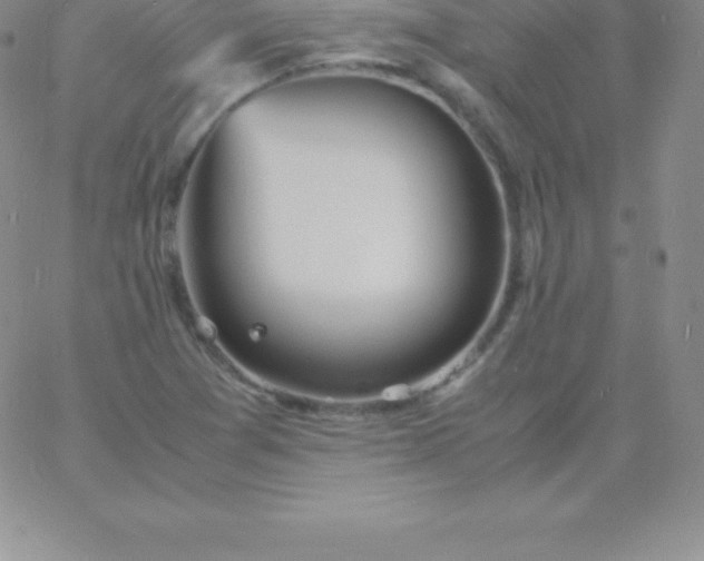 X0000060751361200511241653