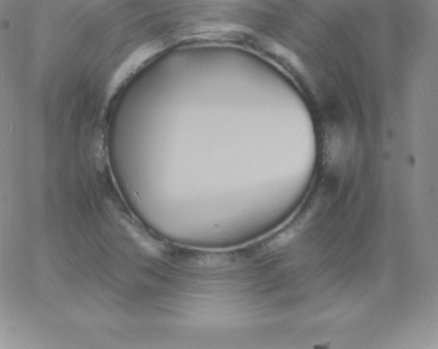 X0000060751362200511241652