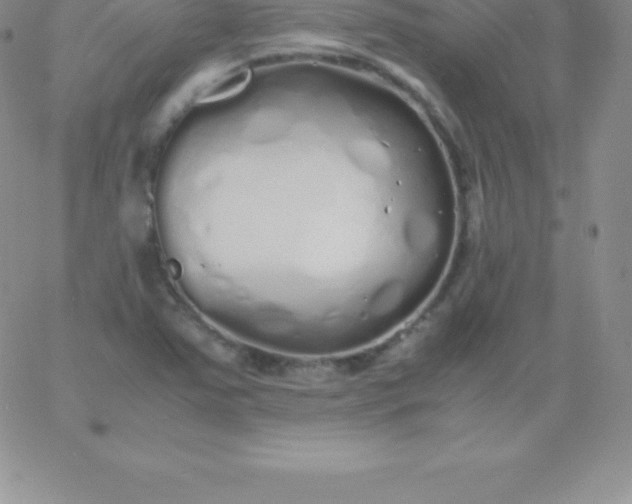 X0000060751363200511241652