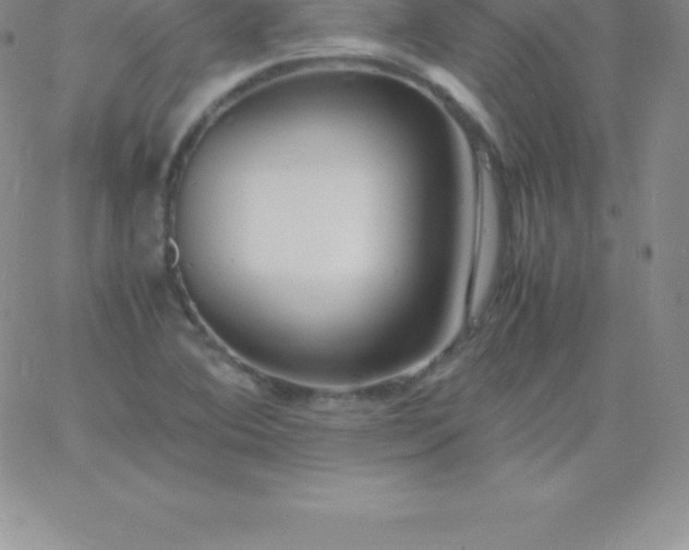 X0000060751364200511241652