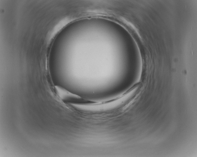 X0000060751365200511241652