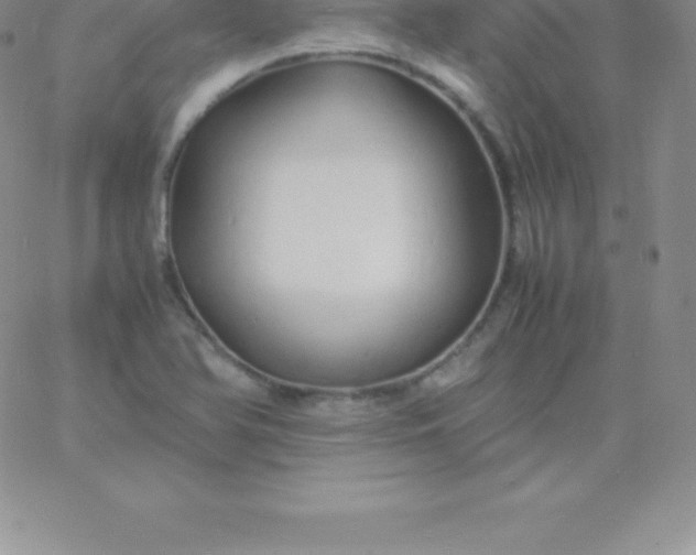 X0000060751366200511241652