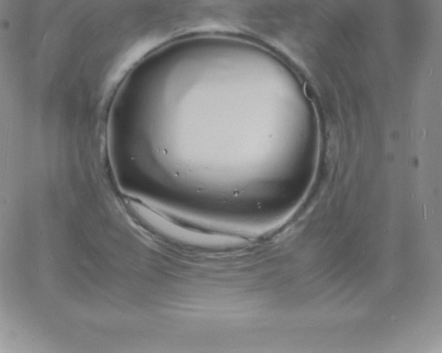 X0000060751367200511241652