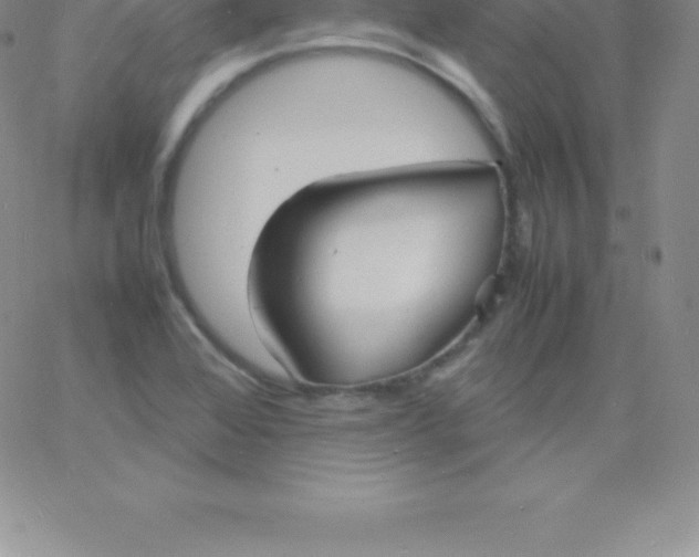 X0000060751368200511241652