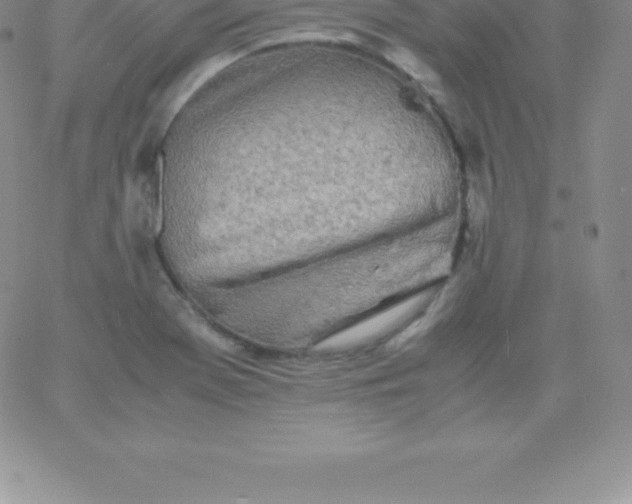 X0000060751369200511241652