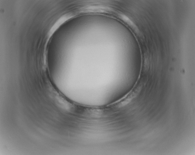 X0000060751370200511241652