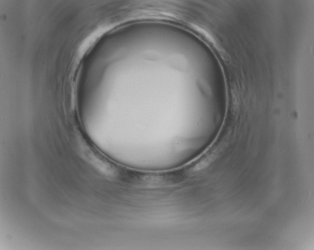 X0000060751371200511241652