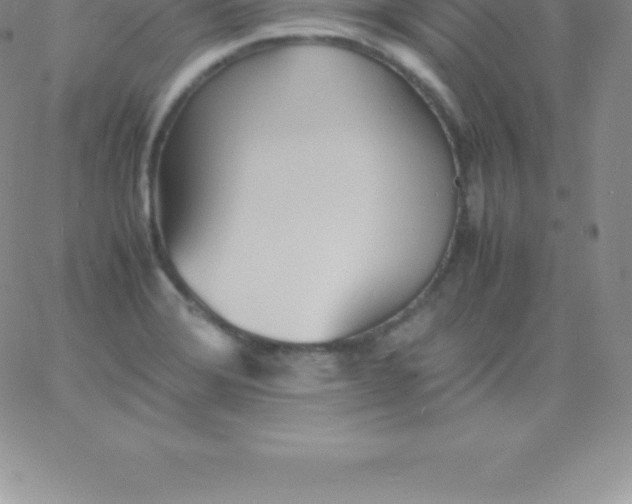 X0000060751372200511241652