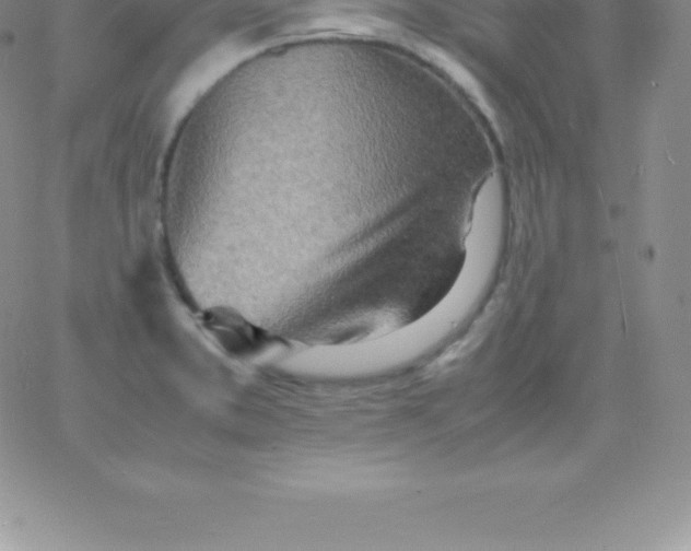 X0000060751373200511241652