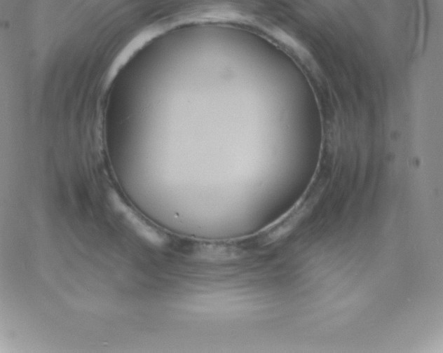 X0000060751374200511241652