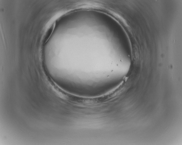 X0000060751375200511241652