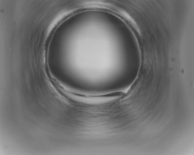 X0000060751376200511241652