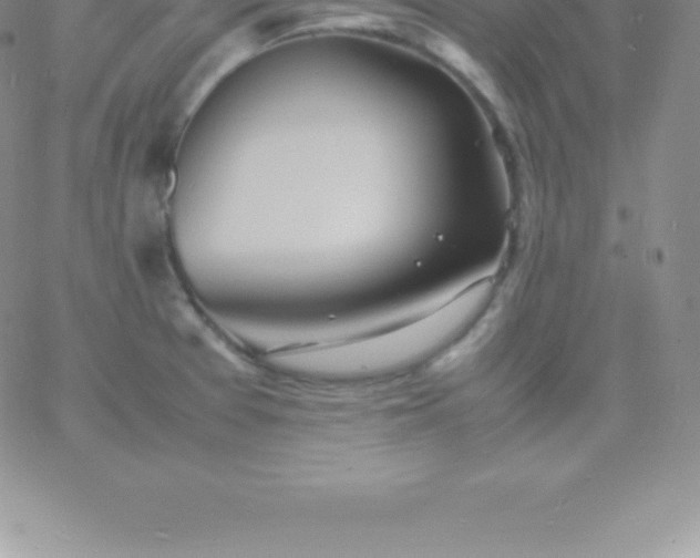 X0000060751377200511241652