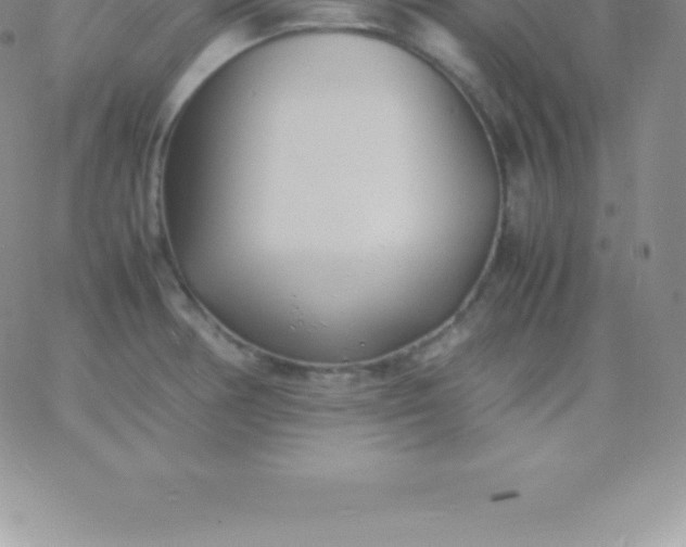 X0000060751378200511241652