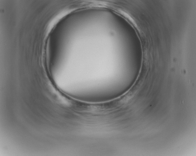 X0000060751379200511241652