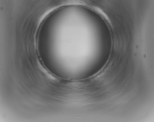 X0000060751380200511241652