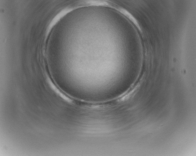 X0000060751381200511241652