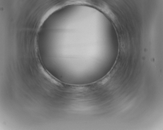 X0000060751382200511241652